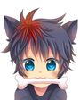 {login}